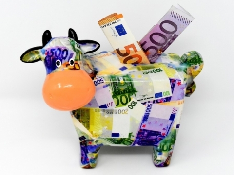 How to pay less taxes in 2025 ?
